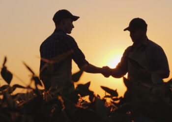 Análise da Constitucionalidade da Exclusão, da Recuperação Judicial do Produtor Rural, dos Créditos que não Decorrem Exclusivamente da Atividade Rural (Art. 49, §6º, da Lei nº 11.101/05, incluído pela Lei nº 14.112/2020).