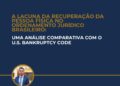 A LACUNA DA RECUPERAÇÃO DA PESSOA FÍSICA NO ORDENAMENTO JURÍDICO BRASILEIRO: UMA ANÁLISE COMPARATIVA COM O U.S. BANKRUPTCY CODE