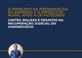 O PRINCÍPIO DA PRESERVAÇÃO DA EMPRESA E O PRODUTOR RURAL APÓS A LEI 14.112/2020: