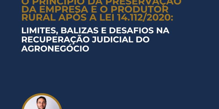 O PRINCÍPIO DA PRESERVAÇÃO DA EMPRESA E O PRODUTOR RURAL APÓS A LEI 14.112/2020: